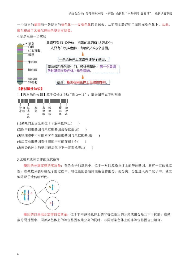 《第17讲伴性遗传和人类遗传病（讲义）（学生版）_06-生物-高考总复习_一轮复习_2025年_2025年高考生物一轮复习讲义+练习+课件（新教材新高考）_第五单元基因的传递规律》第6页预览