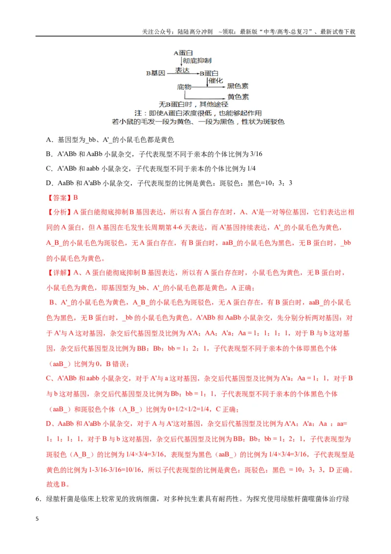 《生物（重庆卷）（全解全析）_06-生物-高考总复习_专项复习_2025年_2025年高考第一二三次模拟卷（多地区）生物_2025年高考生物第二次模拟卷26套_生物（重庆卷）》第5页预览