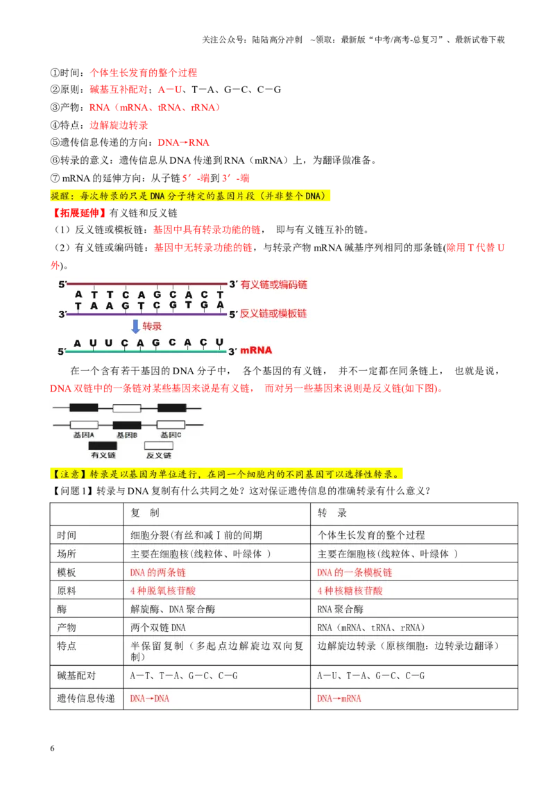 《第21讲基因的表达、基因与性状的关系（讲义）（教师版）_06-生物-高考总复习_一轮复习_2025年_2025年新高考生物一轮复习讲义PPT知识点习题训_资料_第六单元遗传的分子基础》第6页预览