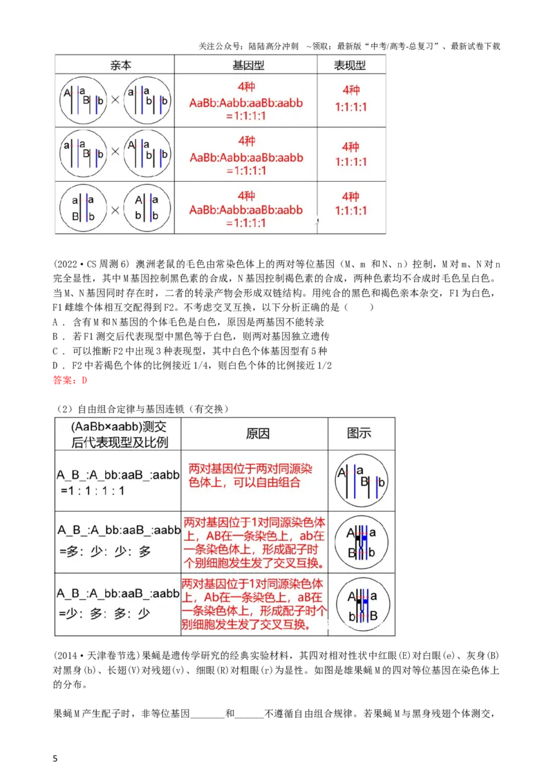 《第17.2讲基因的自由组合定律相关题型（讲义）（教师版）_06-生物-高考总复习_一轮复习_2024年_2024年高考生物一轮复习讲练测(课件+讲义+练习)（新高考）_讲义+练习》第5页预览