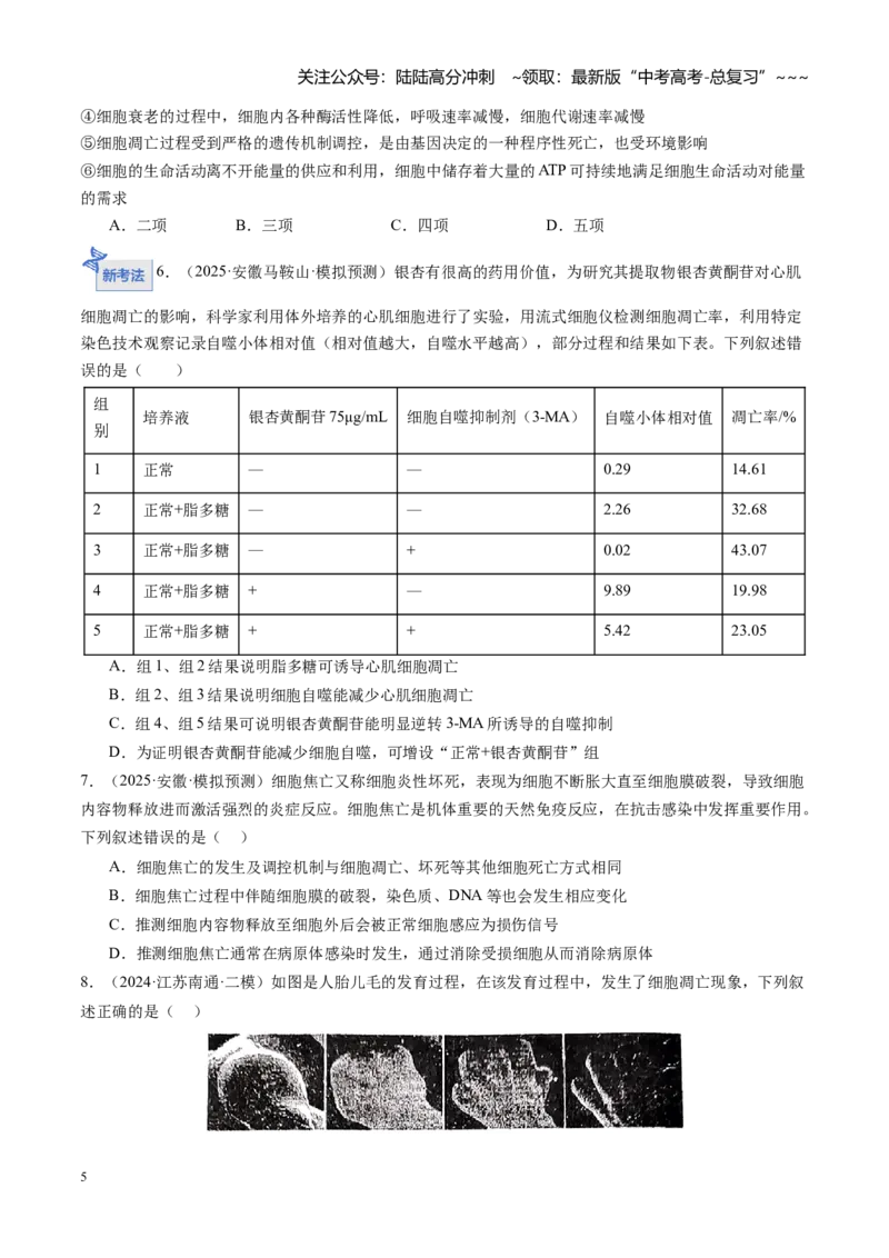 《第15讲细胞的分化、衰老和死亡（专项训练）（安徽专用）（学生版）_06-生物-高考总复习_一轮复习_2026年-生物高考一轮复习_2026年高考生物一轮课件+讲义+练习（安徽专用）-G326》第5页预览
