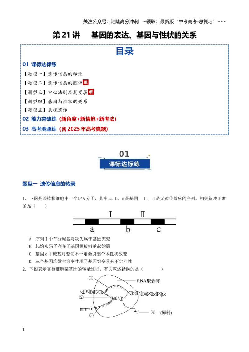 《第21讲基因的表达、基因与性状的关系（专项训练）（学生版）_06-生物-高考总复习_一轮复习_2026年-生物高考一轮复习_2026年高考生物一轮复习讲义+练习+课件（新教材新高考）-G55_2026版》第1页预览
