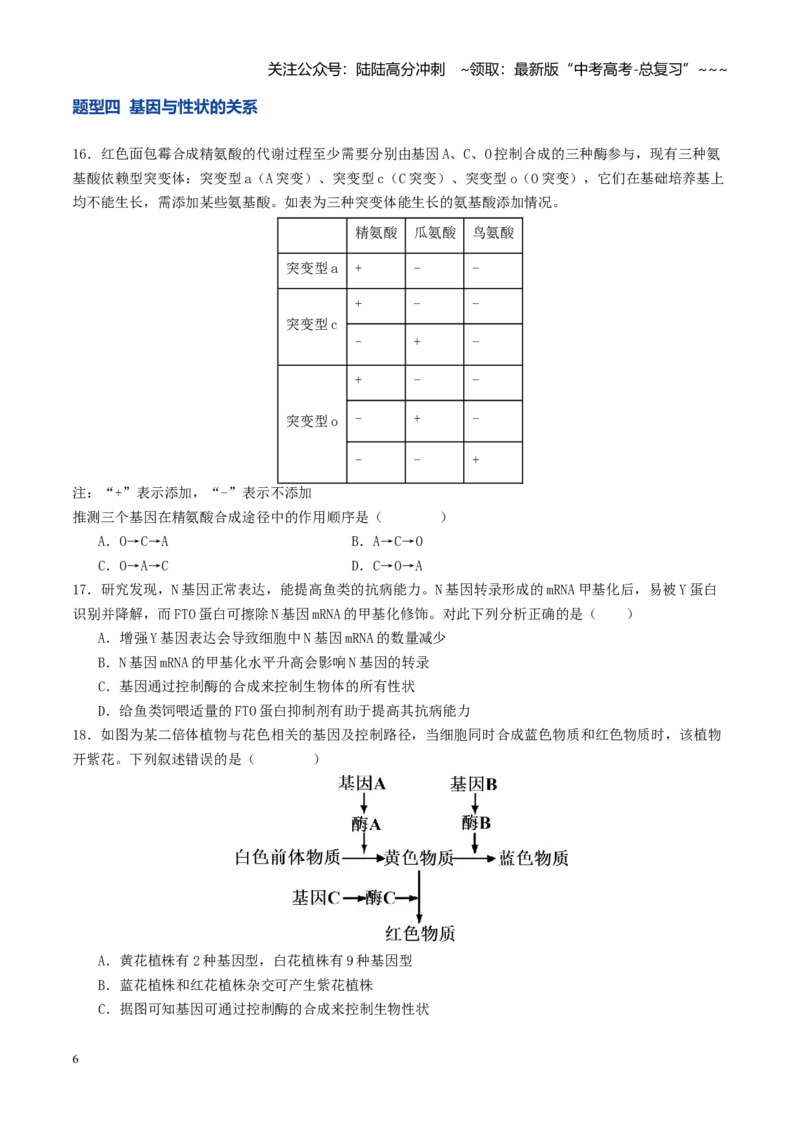《第21讲基因的表达、基因与性状的关系（专项训练）（学生版）_06-生物-高考总复习_一轮复习_2026年-生物高考一轮复习_2026年高考生物一轮复习讲义+练习+课件（新教材新高考）-G55_2026版》第6页预览