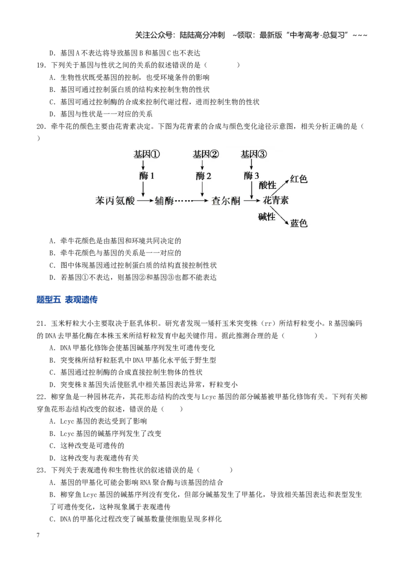 《第21讲基因的表达、基因与性状的关系（专项训练）（学生版）_06-生物-高考总复习_一轮复习_2026年-生物高考一轮复习_2026年高考生物一轮复习讲义+练习+课件（新教材新高考）-G55_2026版》第7页预览