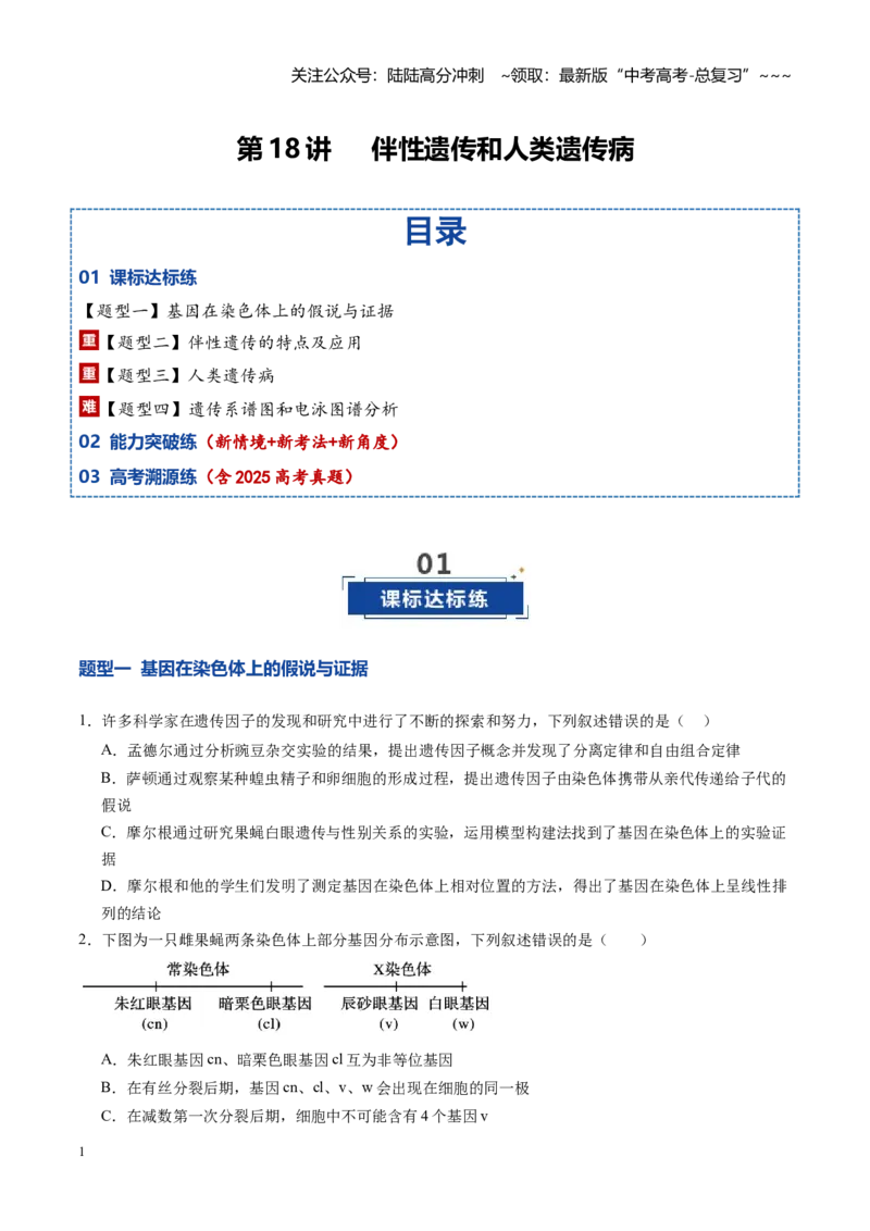 《第18讲伴性遗传和人类遗传病（专项训练）（福建专用）（学生版）_06-生物-高考总复习_一轮复习_2026年-生物高考一轮复习_2026年高考生物一轮课件+讲义+练习（福建专用）-G328》第1页预览