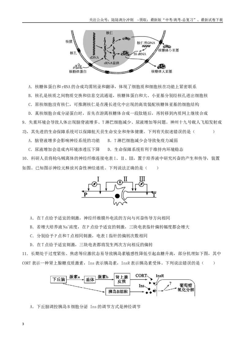 《生物（湖北卷）（考试版）_06-生物-高考总复习_二轮复习_2025年_2025年高考生物第二次模拟卷26套_生物（湖北卷）》第3页预览