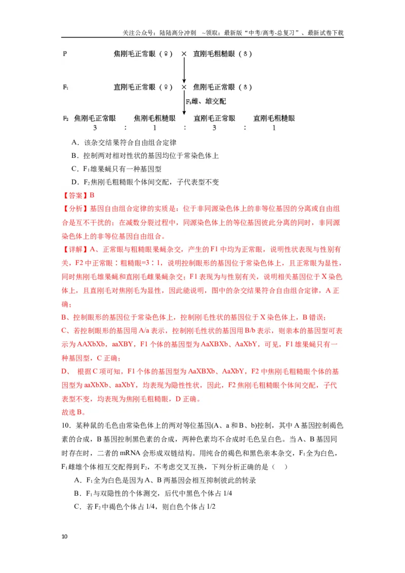 《专题12基因的自由组合定律（解析版）_06-生物-高考总复习_专项复习_2024年_2024年高考生物经典小题必刷_资料》第10页预览