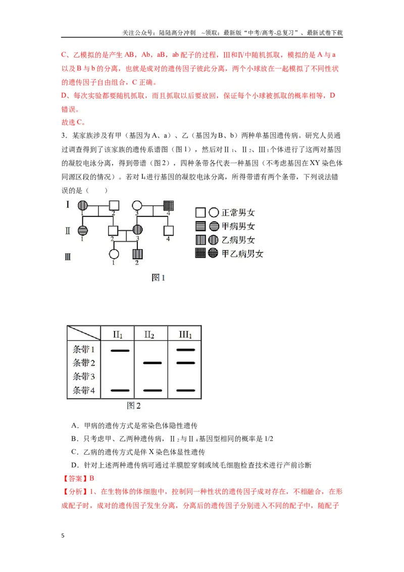 《专题12基因的自由组合定律（解析版）_06-生物-高考总复习_专项复习_2024年_2024年高考生物经典小题必刷_资料》第5页预览