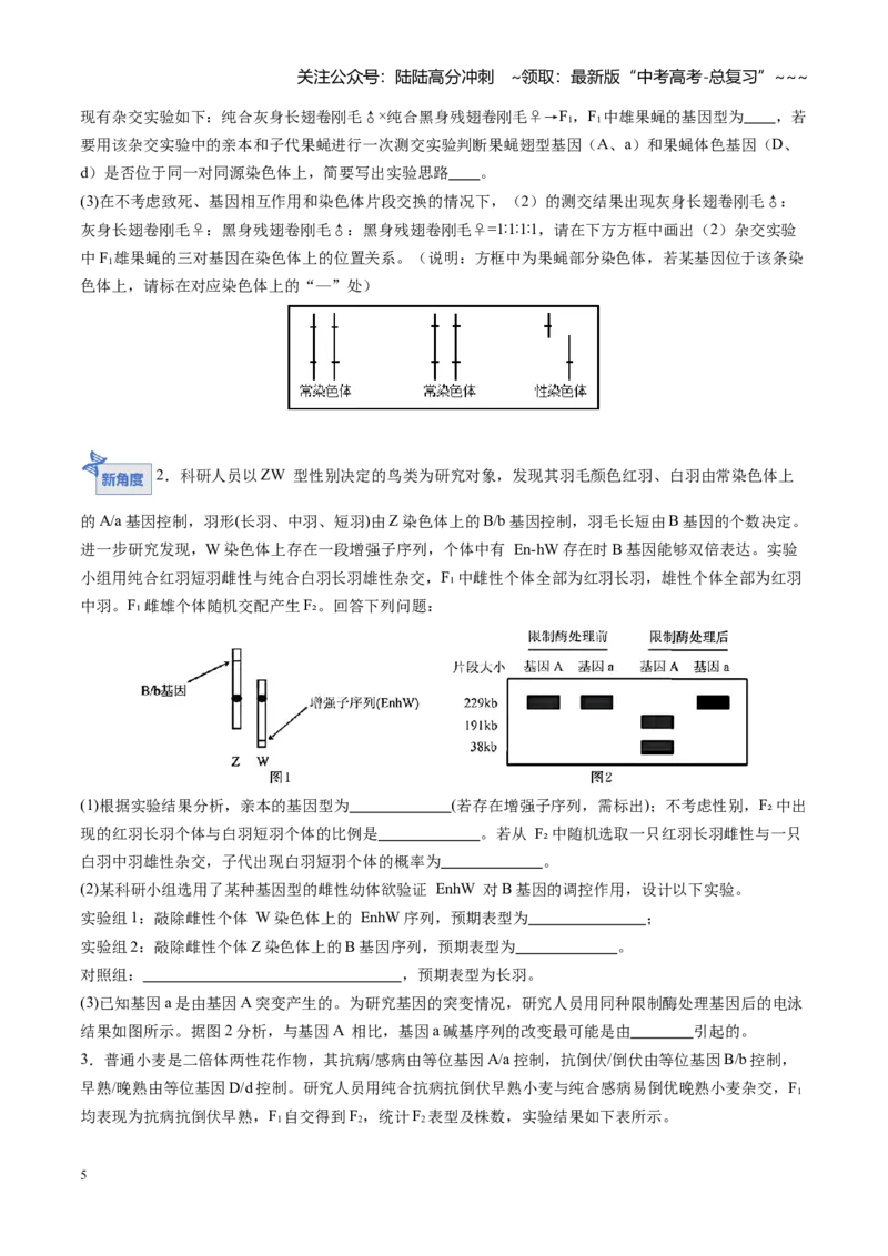 《第19讲遗传综合实验分析（专项训练）（福建专用）（学生版）_06-生物-高考总复习_一轮复习_2026年-生物高考一轮复习_2026年高考生物一轮课件+讲义+练习（福建专用）-G328》第5页预览