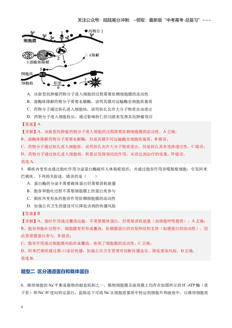 《第08讲物质进出细胞方式及影响因素（专项训练）（安徽专用）（教师版）_06-生物-高考总复习_一轮复习_2026年-生物高考一轮复习_2026年高考生物一轮课件+讲义+练习（安徽专用）-G326》第4页预览