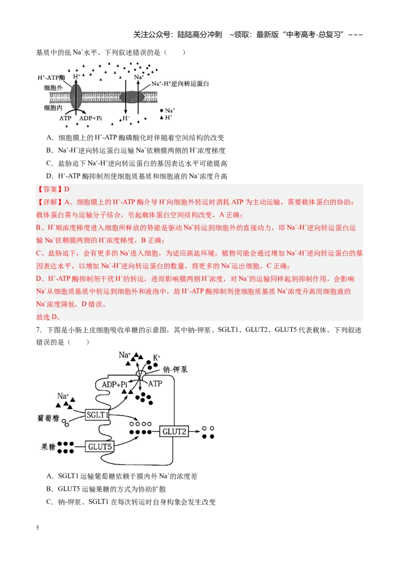《第08讲物质进出细胞方式及影响因素（专项训练）（安徽专用）（教师版）_06-生物-高考总复习_一轮复习_2026年-生物高考一轮复习_2026年高考生物一轮课件+讲义+练习（安徽专用）-G326》第5页预览