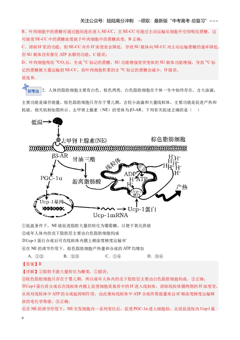 《第08讲物质进出细胞方式及影响因素（专项训练）（安徽专用）（教师版）_06-生物-高考总复习_一轮复习_2026年-生物高考一轮复习_2026年高考生物一轮课件+讲义+练习（安徽专用）-G326》第9页预览