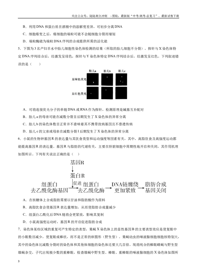 《生物（甘肃卷）（考试版）_06-生物-高考总复习_专项复习_2025年_2025年高考第一二三次模拟卷（多地区）生物_2025年高考生物第三次模拟考试21套_生物（甘肃卷）》第3页预览
