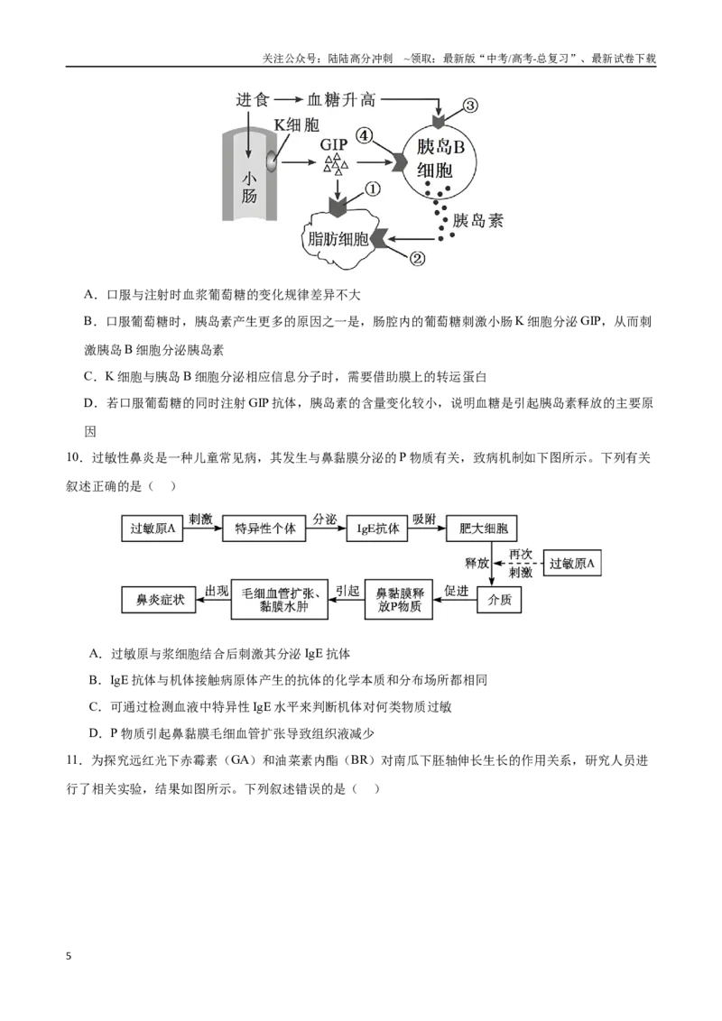 《生物（甘肃卷）（考试版）_06-生物-高考总复习_专项复习_2025年_2025年高考第一二三次模拟卷（多地区）生物_2025年高考生物第三次模拟考试21套_生物（甘肃卷）》第5页预览