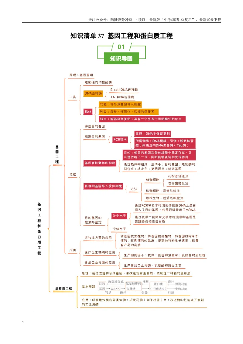 《知识清单37基因工程和蛋白质工程（4大考点+10个易错点）_06-生物-高考总复习_一轮复习_2025年_2025年高考生物一轮复习知识清单（全国通用）》第1页预览