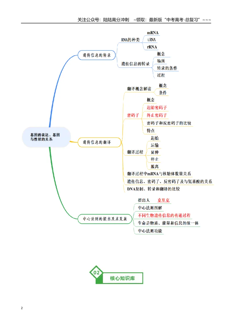《第21讲基因的表达、基因与性状的关系（知识清单）（全国通用）（教师版）_06-生物-高考总复习_一轮复习_2026年-生物高考一轮复习_2026年高考生物一轮复习知识清单（全国通用）-G56_2026版》第2页预览