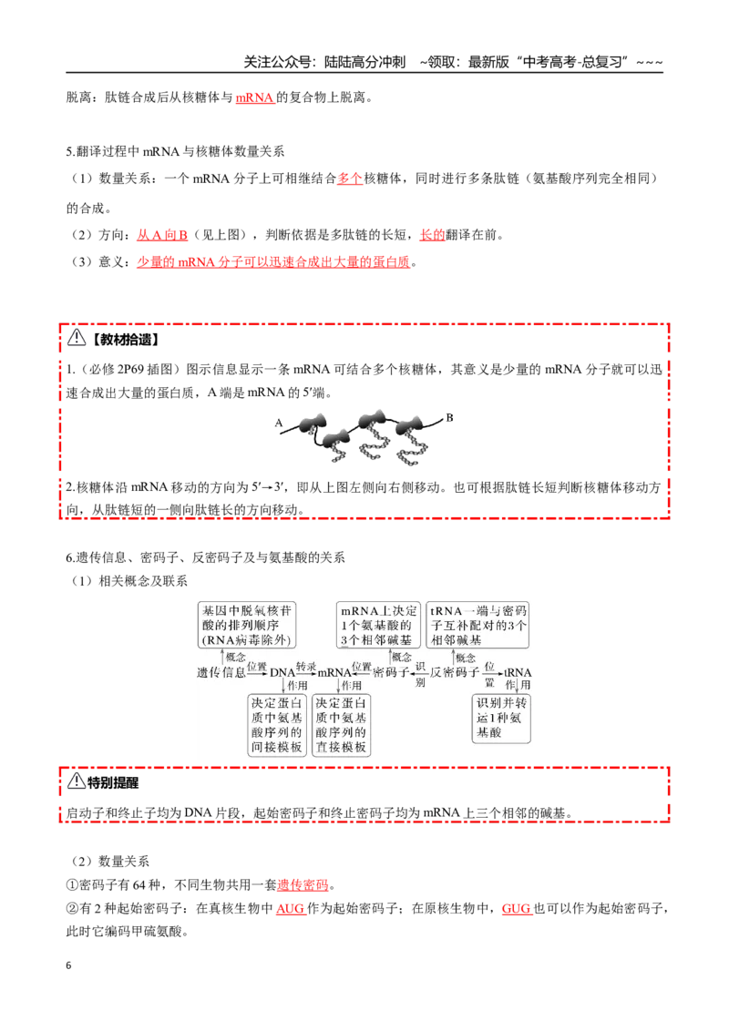 《第21讲基因的表达、基因与性状的关系（知识清单）（全国通用）（教师版）_06-生物-高考总复习_一轮复习_2026年-生物高考一轮复习_2026年高考生物一轮复习知识清单（全国通用）-G56_2026版》第6页预览