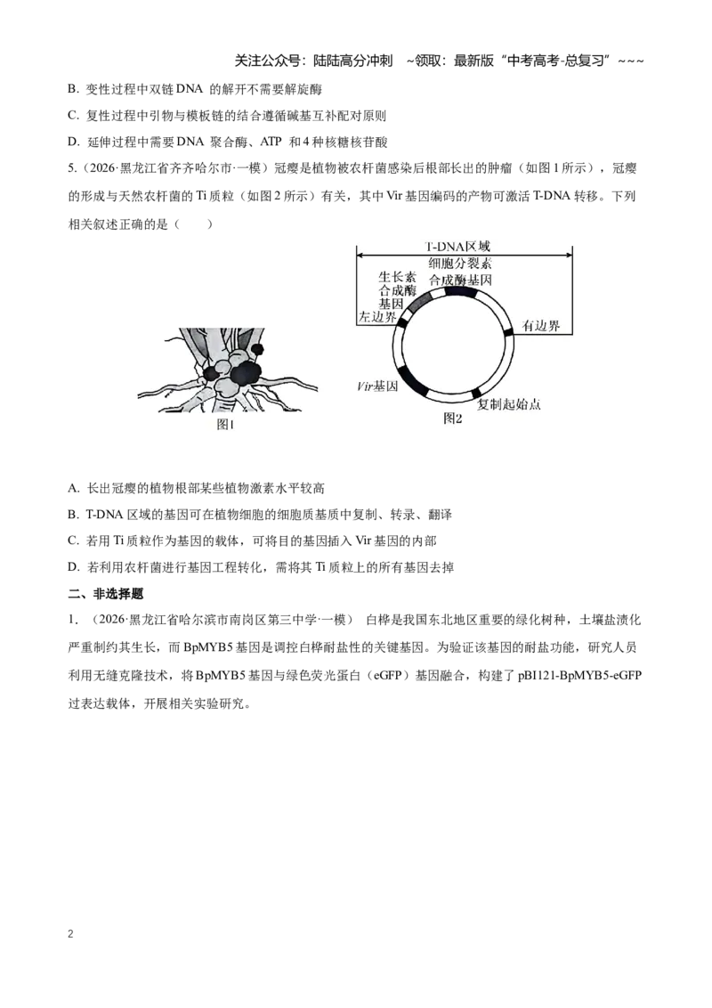 《专题12基因工程（学生版）_06-生物-高考总复习_专项复习_2026年-生物高考专项复习_2026年高考生物一模试题分类汇编（黑吉辽蒙专用）-G238_2026版》第2页预览