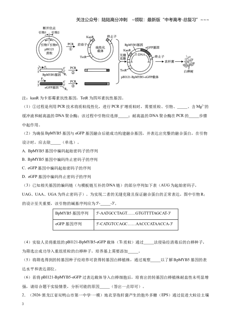 《专题12基因工程（学生版）_06-生物-高考总复习_专项复习_2026年-生物高考专项复习_2026年高考生物一模试题分类汇编（黑吉辽蒙专用）-G238_2026版》第3页预览