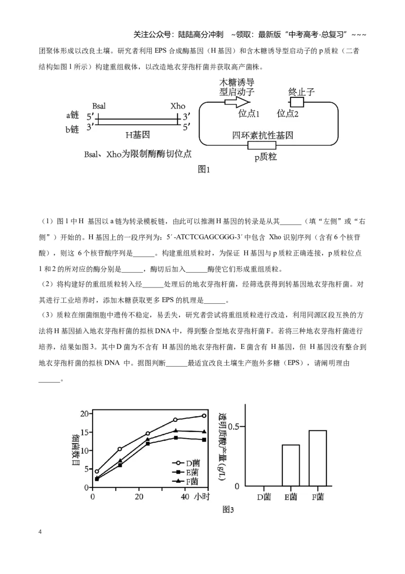 《专题12基因工程（学生版）_06-生物-高考总复习_专项复习_2026年-生物高考专项复习_2026年高考生物一模试题分类汇编（黑吉辽蒙专用）-G238_2026版》第4页预览