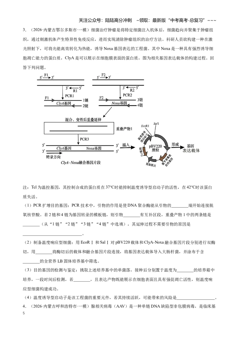 《专题12基因工程（学生版）_06-生物-高考总复习_专项复习_2026年-生物高考专项复习_2026年高考生物一模试题分类汇编（黑吉辽蒙专用）-G238_2026版》第5页预览