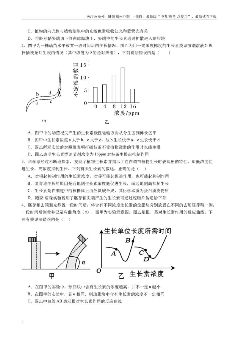 《专题15植物的生命活动调节（原卷版）_06-生物-高考总复习_专项复习_2024年_2024年高考生物经典小题必刷_资料》第5页预览