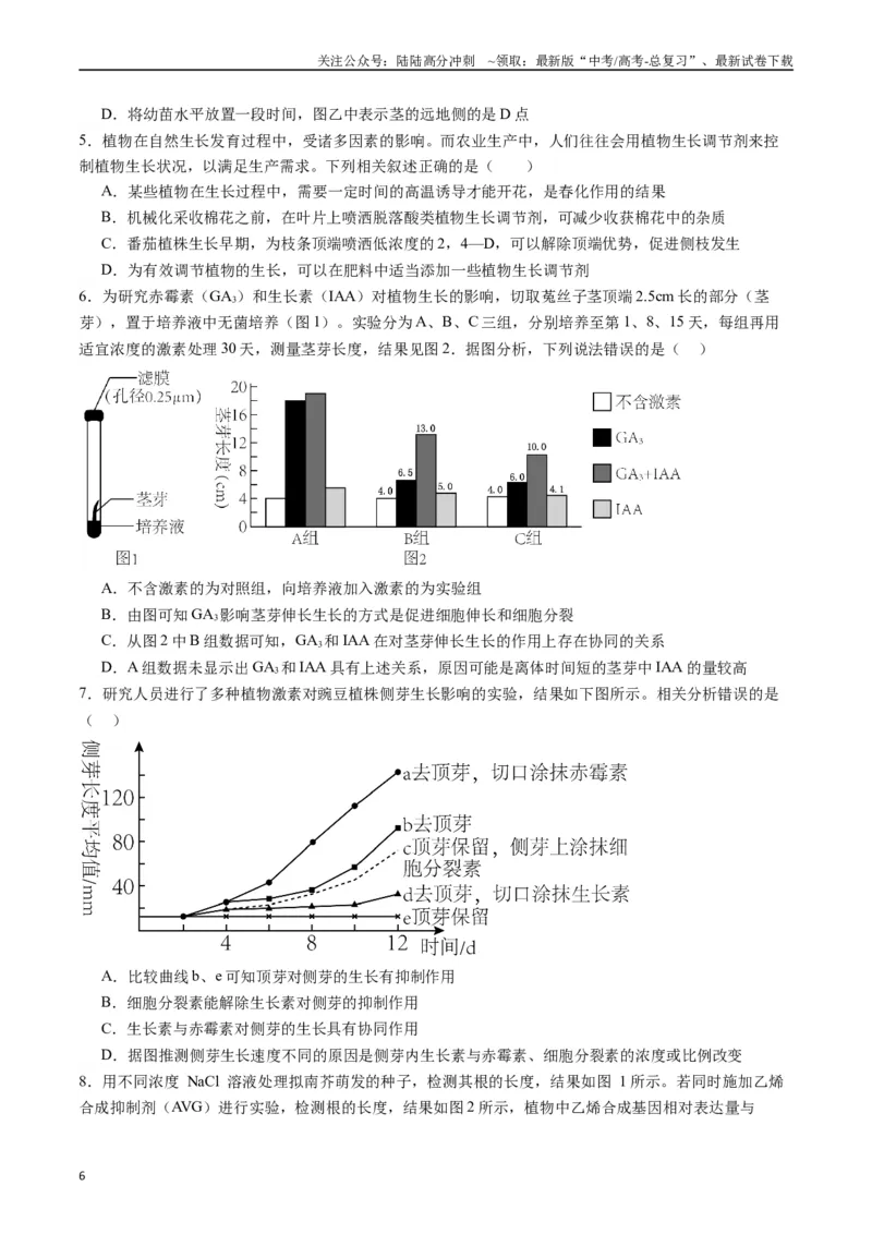 《专题15植物的生命活动调节（原卷版）_06-生物-高考总复习_专项复习_2024年_2024年高考生物经典小题必刷_资料》第6页预览