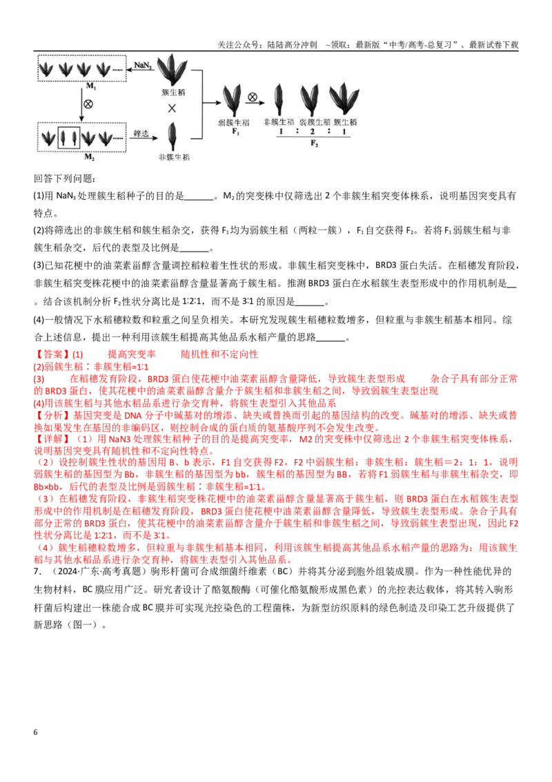 《专题15长句子表达题（20题）（教师版）_06-生物-高考总复习_专项复习_2024年_2024年新高考生物总复习高频考点必刷800题_2025版》第6页预览