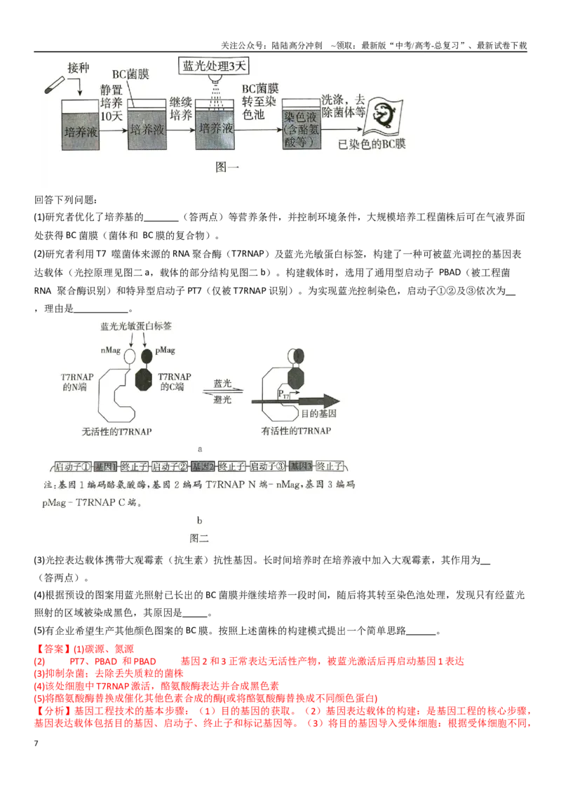 《专题15长句子表达题（20题）（教师版）_06-生物-高考总复习_专项复习_2024年_2024年新高考生物总复习高频考点必刷800题_2025版》第7页预览