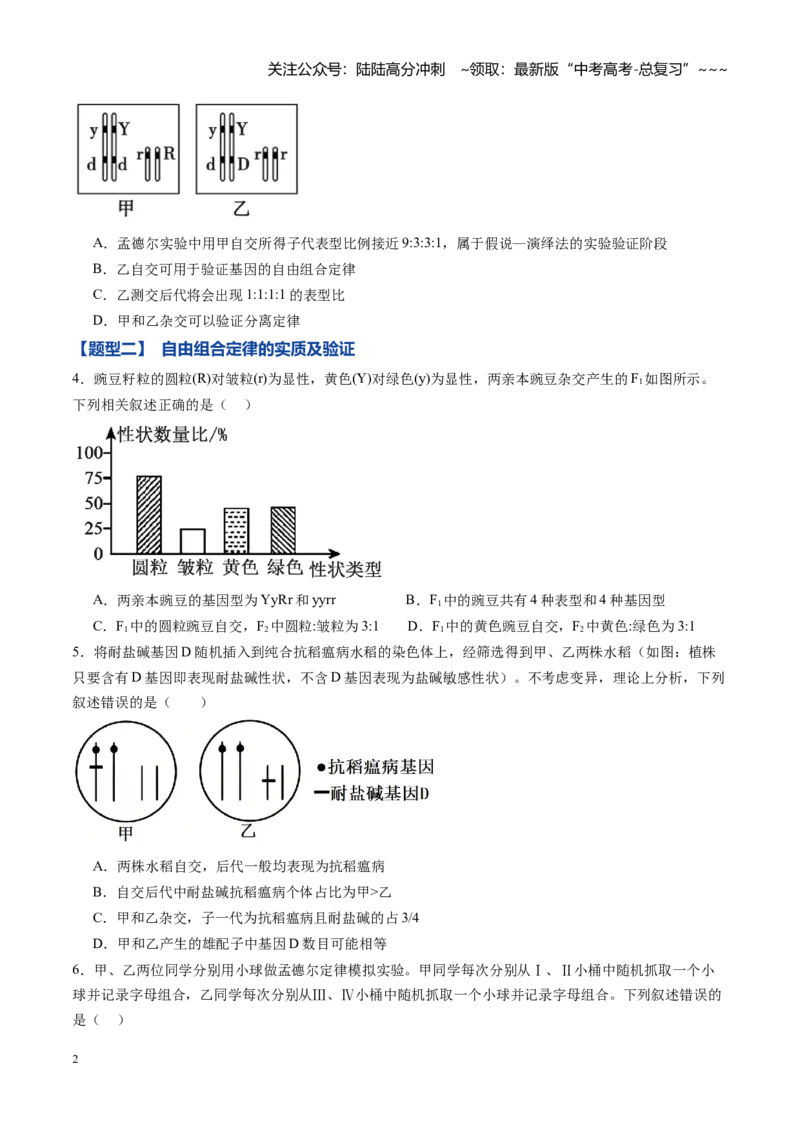 《第15讲自由组合定律（专项训练）（黑吉辽蒙专用）（学生版）_06-生物-高考总复习_一轮复习_2026年-生物高考一轮复习_2026年高考生物一轮课件+讲义+练习（黑吉辽蒙专用）-G330》第2页预览