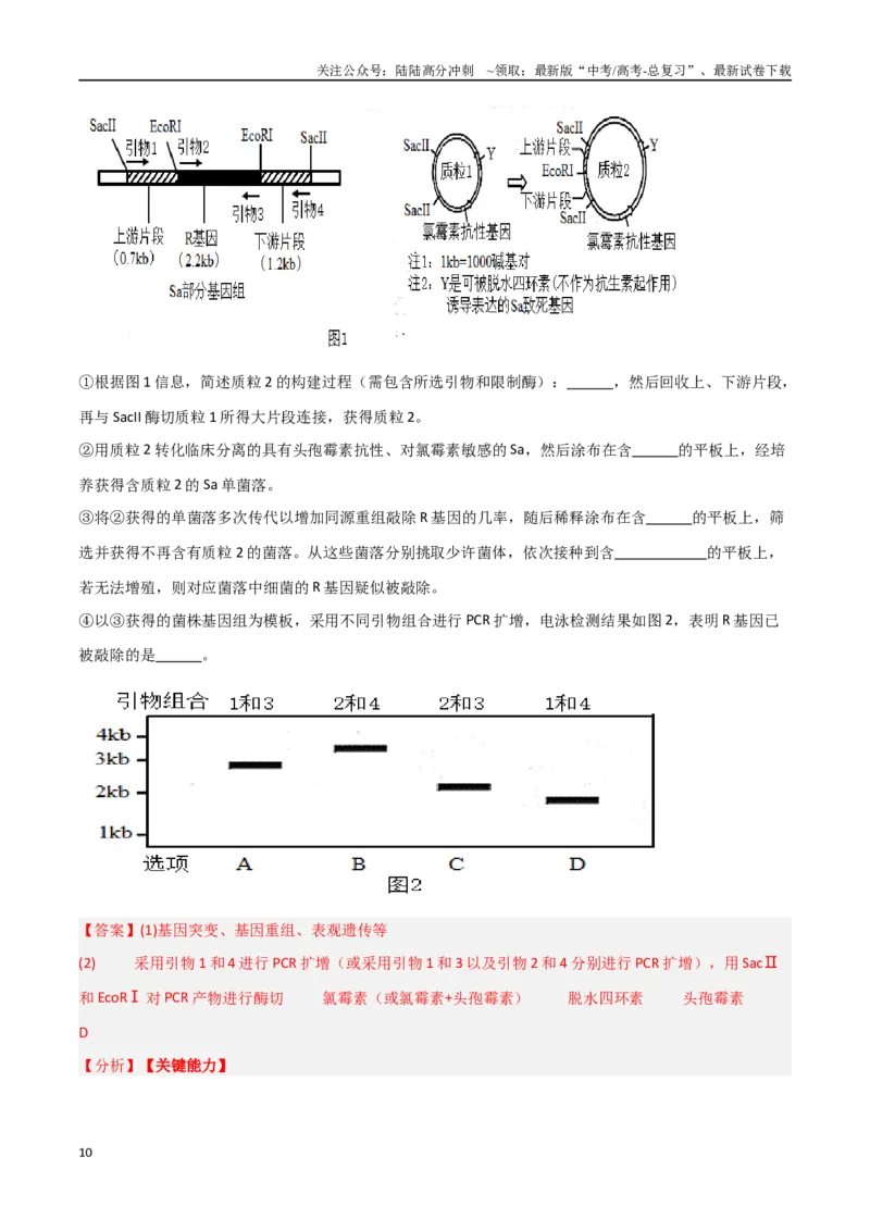《专题20基因工程（解析版）_06-生物-高考总复习_专项复习_2025年_2025年高考生物重难点讲义专练（新高考通用）》第10页预览