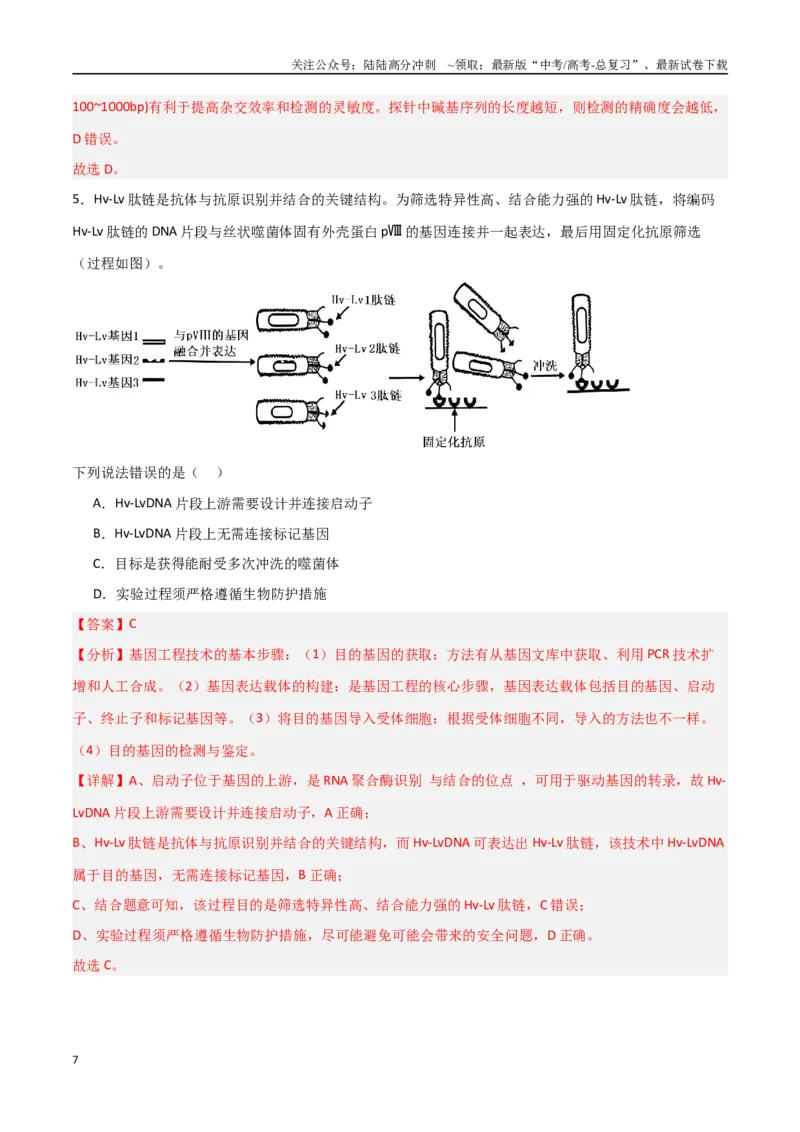 《专题20基因工程（解析版）_06-生物-高考总复习_专项复习_2025年_2025年高考生物重难点讲义专练（新高考通用）》第7页预览