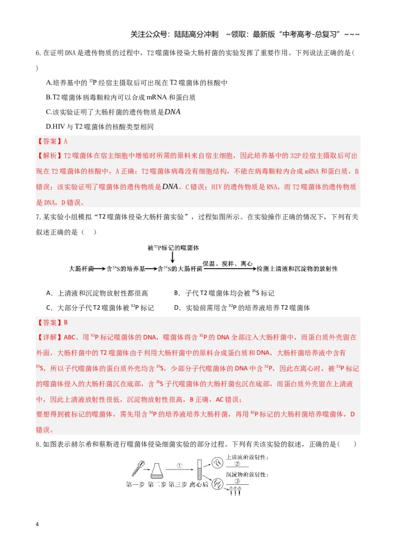 《第19讲DNA是主要的遗传物质（专项训练）（湖南专用）（教师版）_06-生物-高考总复习_一轮复习_2026年-生物高考一轮复习_2026年高考生物一轮课件+讲义+练习（湖南专用）-G331》第4页预览