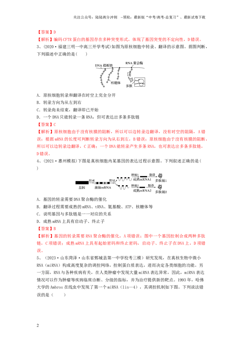 《专题19基因的表达（精练）（解析版）_06-生物-高考总复习_一轮复习_2024年_2024年高考生物一轮复习串讲精练知识点梳理练习题_精练》第2页预览