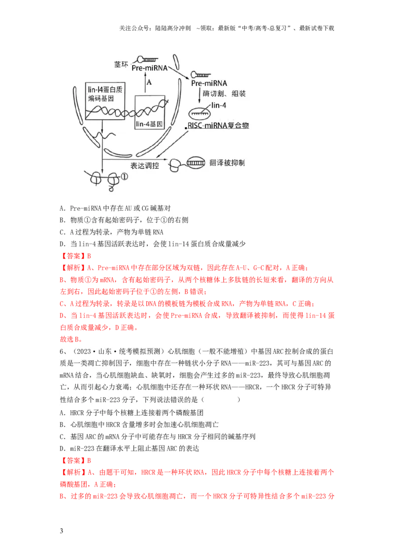 《专题19基因的表达（精练）（解析版）_06-生物-高考总复习_一轮复习_2024年_2024年高考生物一轮复习串讲精练知识点梳理练习题_精练》第3页预览
