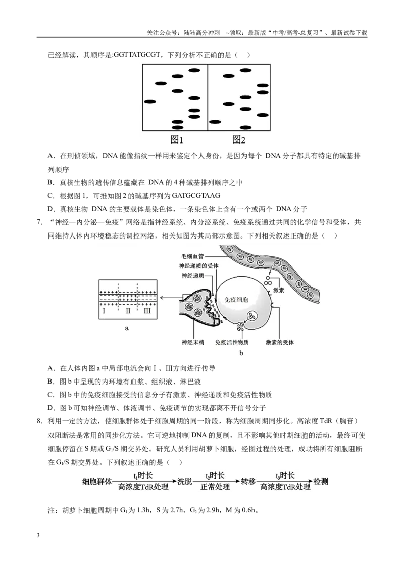 《生物（湖南卷）（考试版）_06-生物-高考总复习_二轮复习_2025年_2025年高考生物第二次模拟卷26套_生物（湖南卷）》第3页预览