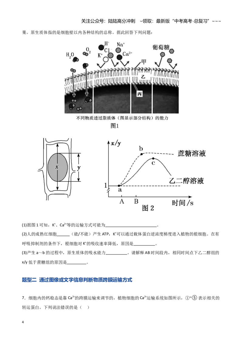 《第07讲物质运输（专项训练）（湖南专用）（学生版）_06-生物-高考总复习_一轮复习_2026年-生物高考一轮复习_2026年高考生物一轮课件+讲义+练习（湖南专用）-G331》第4页预览