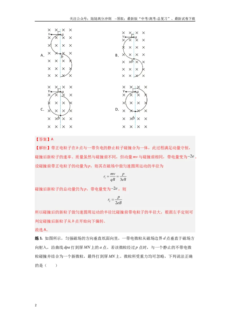《专题12.带电粒子在有界匀强磁场中的运动（解析版）_04-物理-高考总复习_专项复习_2024年_2024年高三物理二级结论点对点专题练习题必刷题_资料》第2页预览