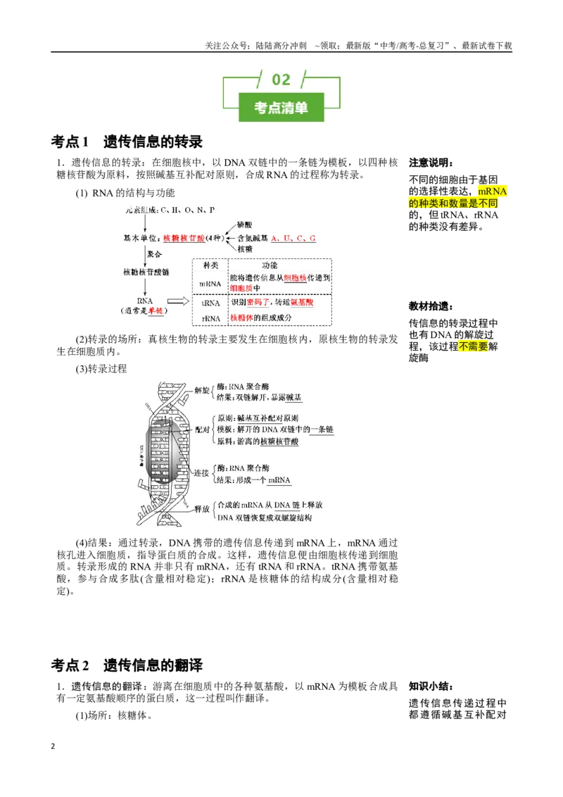 《知识清单16基因的表达（3大考点+3个易错点）_06-生物-高考总复习_一轮复习_2025年_2025年高考生物一轮复习知识清单（全国通用）》第2页预览