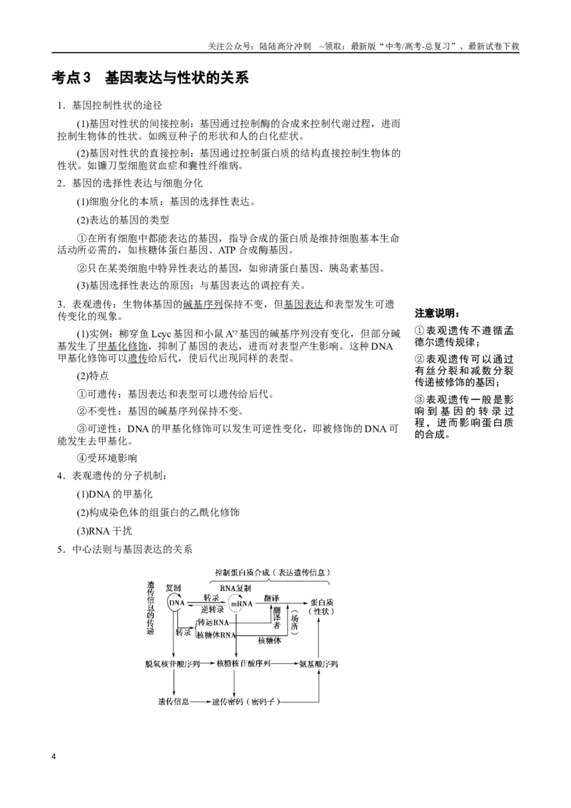 《知识清单16基因的表达（3大考点+3个易错点）_06-生物-高考总复习_一轮复习_2025年_2025年高考生物一轮复习知识清单（全国通用）》第4页预览