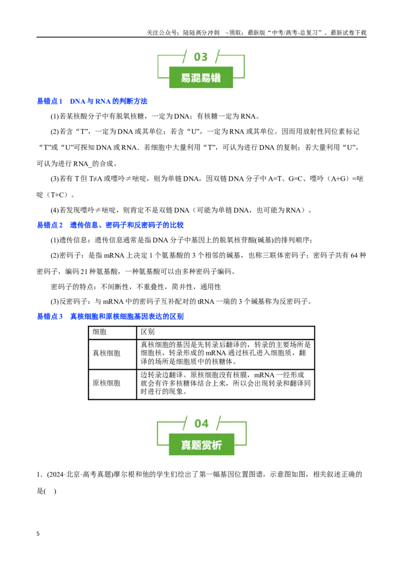 《知识清单16基因的表达（3大考点+3个易错点）_06-生物-高考总复习_一轮复习_2025年_2025年高考生物一轮复习知识清单（全国通用）》第5页预览