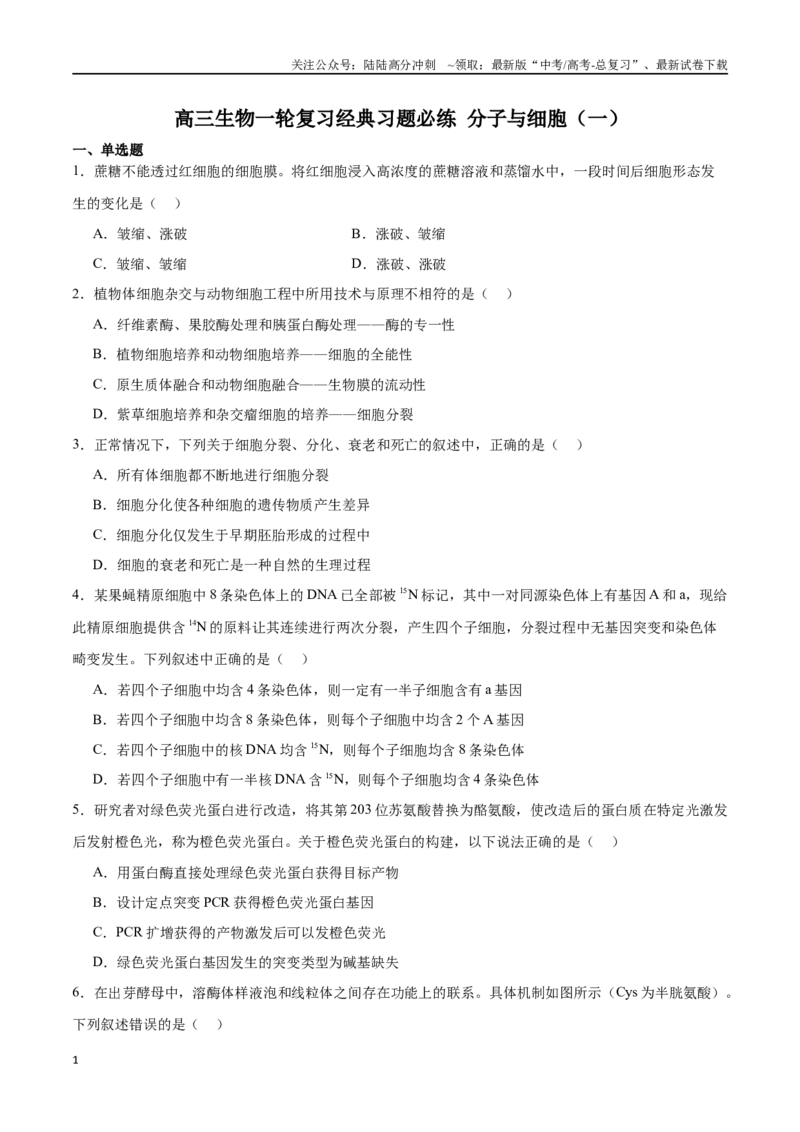 《必修1分子与细胞必刷卷01（原卷版）_06-生物-高考总复习_一轮复习_2024年_2024年高考生物一轮复习收官必刷卷（新教材新高考）_资料》第1页预览
