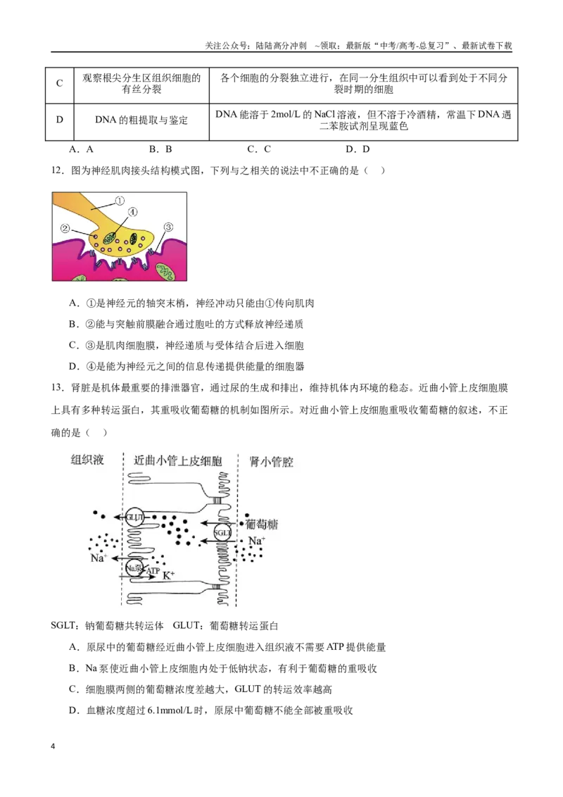 《必修1分子与细胞必刷卷01（原卷版）_06-生物-高考总复习_一轮复习_2024年_2024年高考生物一轮复习收官必刷卷（新教材新高考）_资料》第4页预览