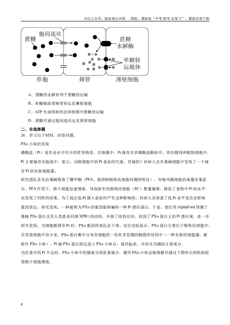 《必修1分子与细胞必刷卷01（原卷版）_06-生物-高考总复习_一轮复习_2024年_2024年高考生物一轮复习收官必刷卷（新教材新高考）_资料》第8页预览