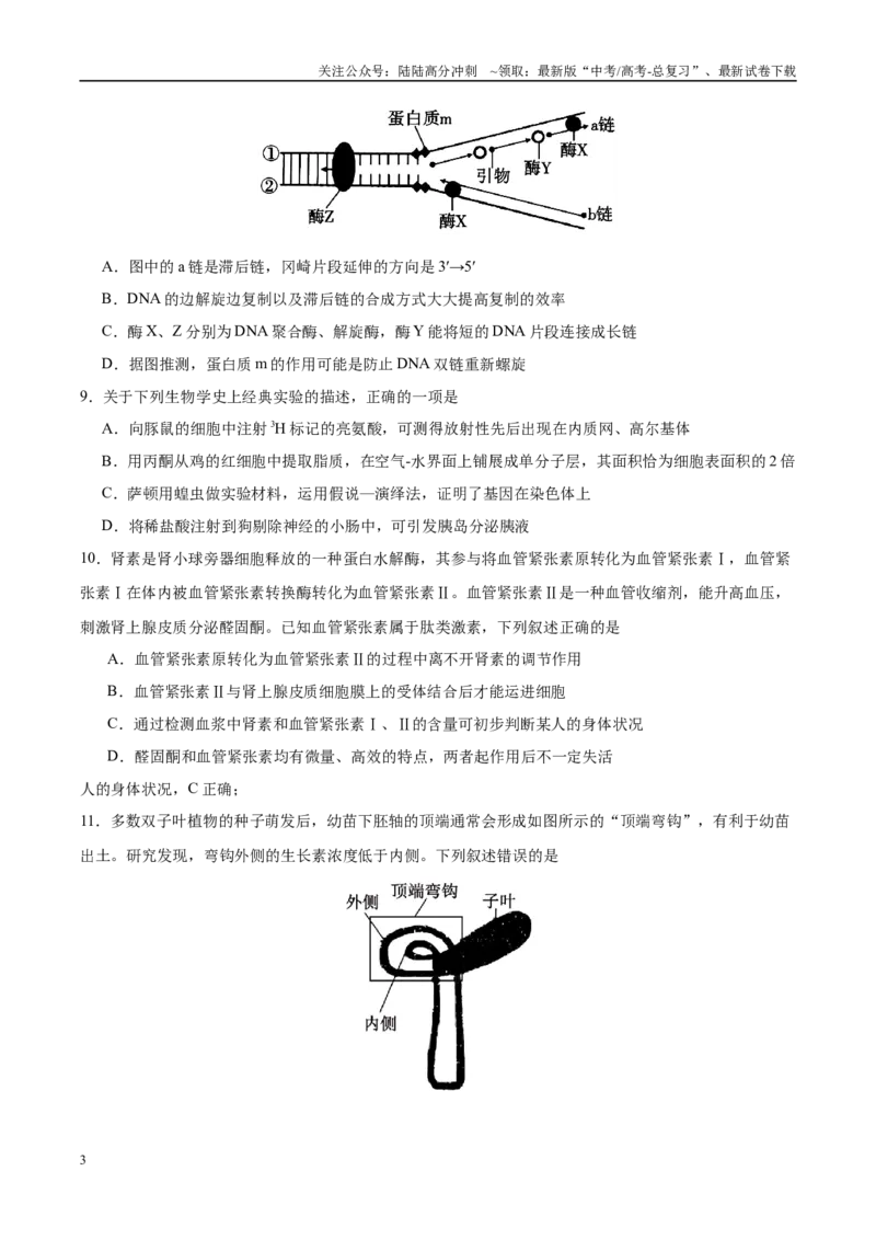 《生物（贵州卷01）（考试版）_06-生物-高考总复习_专项复习_2025年_2025年高考押题预测卷（多地区）生物》第3页预览