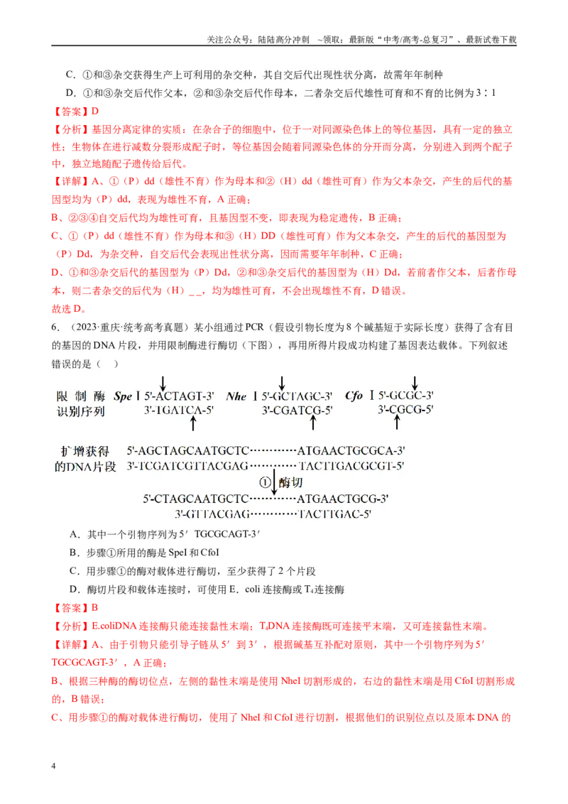 《真题重组卷02（全国卷新教材）（解析版）_06-生物-高考总复习_二轮复习_2024年_2024年高考生物真题重组卷二模（全国卷）》第4页预览