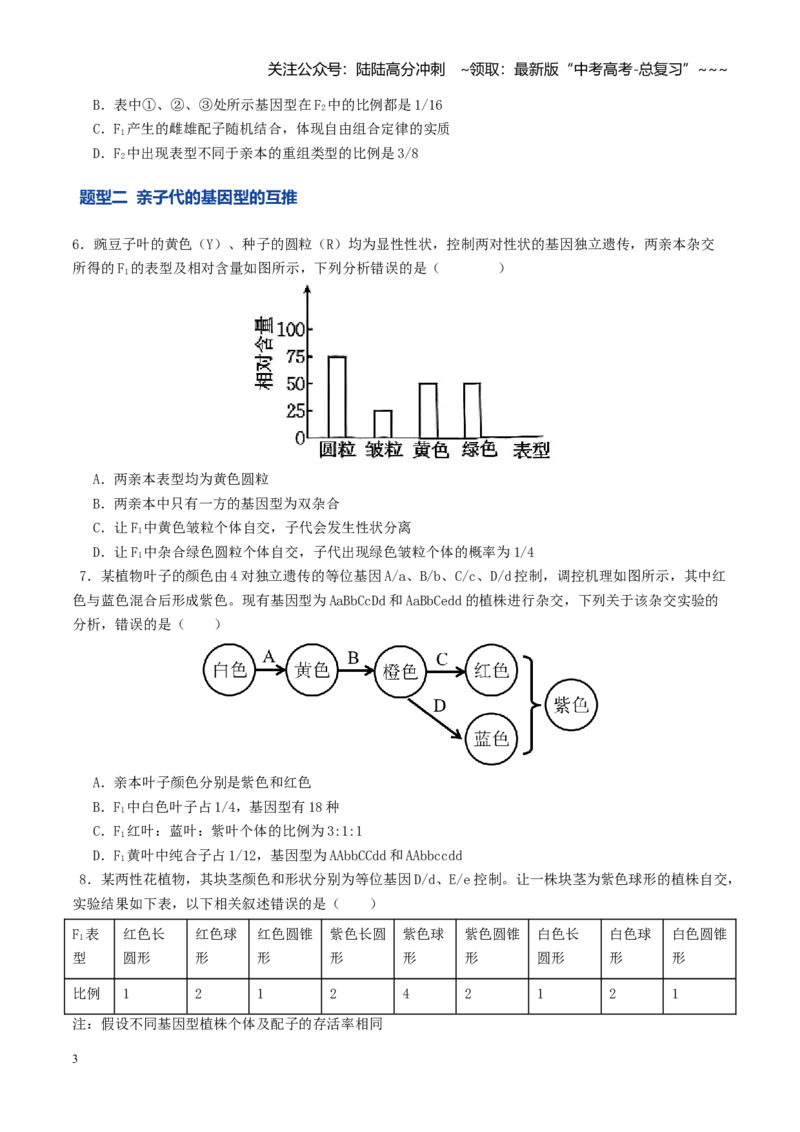 《第16讲自由组合定律（专项训练）（学生版）_06-生物-高考总复习_一轮复习_2026年-生物高考一轮复习_2026年高考生物一轮复习讲义+练习+课件（新教材新高考）-G55_2026版》第3页预览