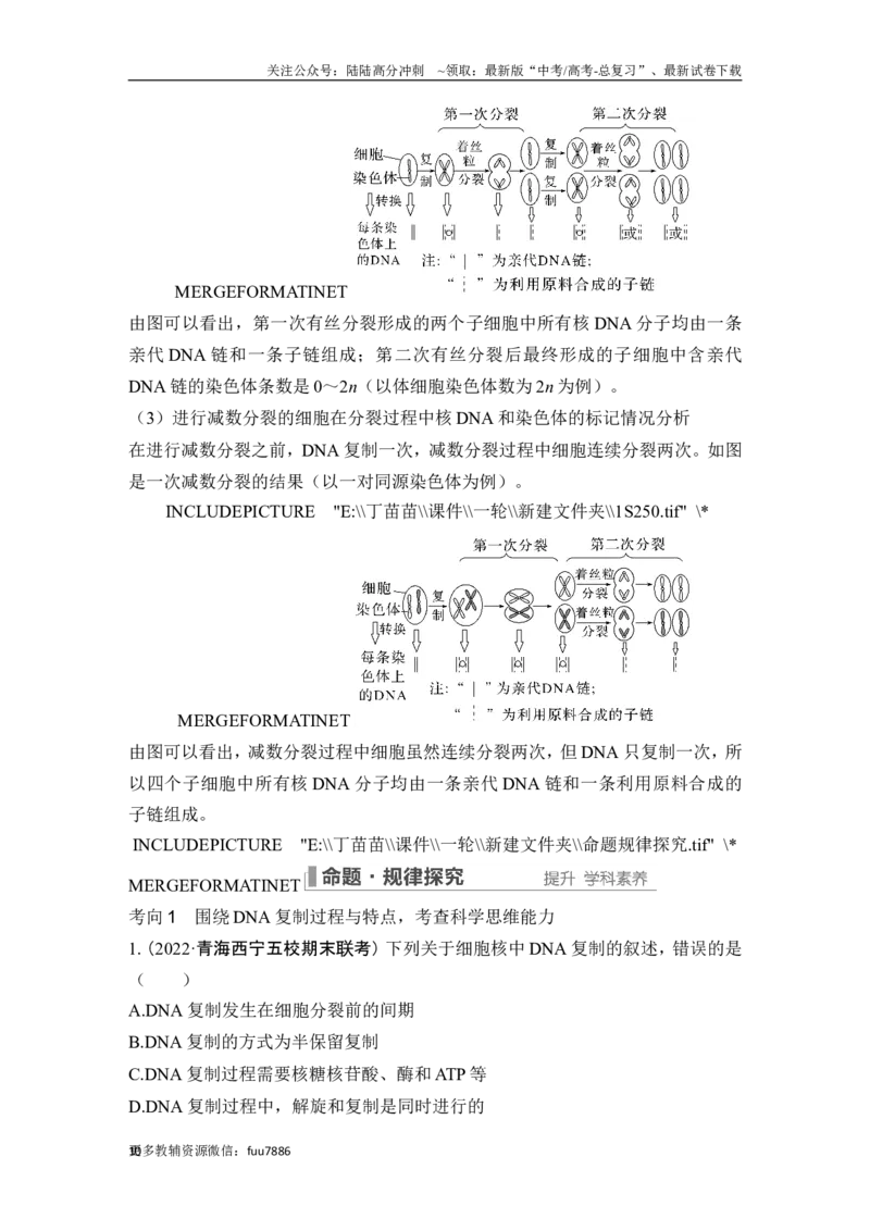 《第17讲DNA的结构、复制及基因的本质_06-生物-高考总复习_一轮复习_2024年_2024高考生物大一轮复习课件讲义新人教版知识总结_2024年高考生物一轮复习讲义（新人教版）_另赠1套Word版题库》第10页预览