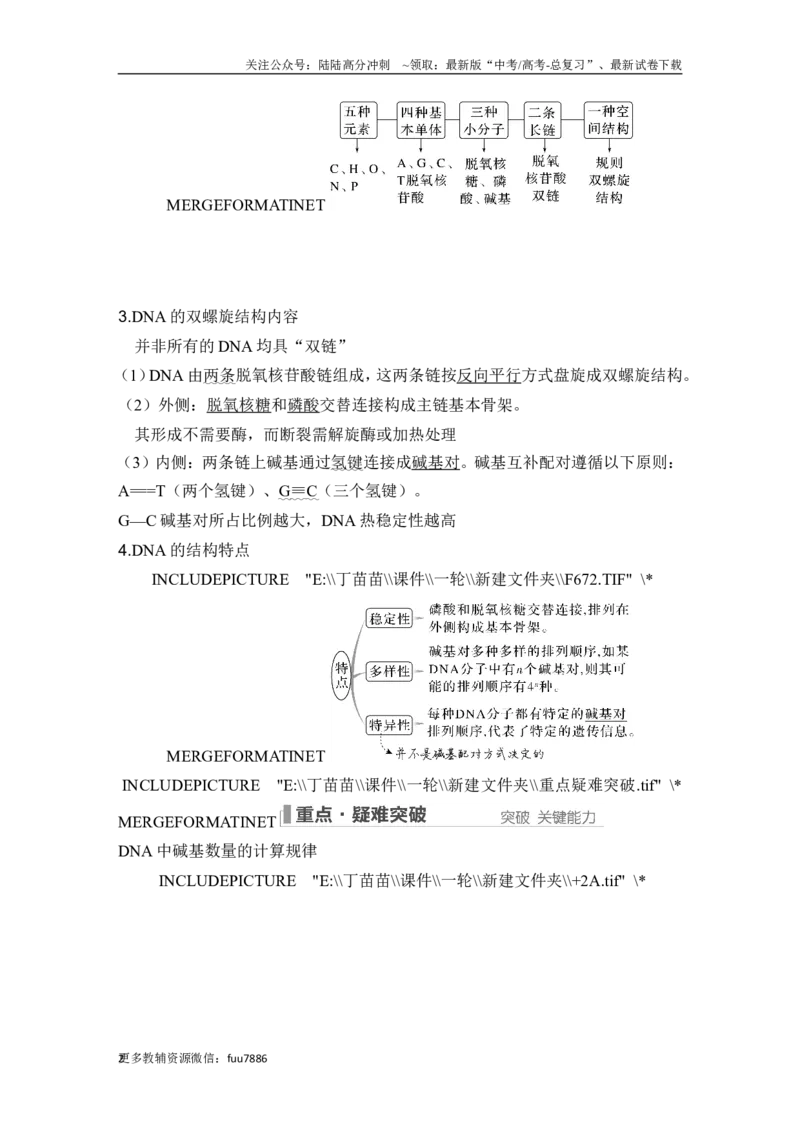 《第17讲DNA的结构、复制及基因的本质_06-生物-高考总复习_一轮复习_2024年_2024高考生物大一轮复习课件讲义新人教版知识总结_2024年高考生物一轮复习讲义（新人教版）_另赠1套Word版题库》第2页预览