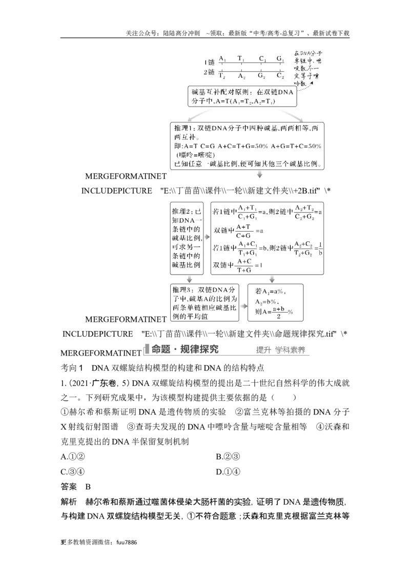 《第17讲DNA的结构、复制及基因的本质_06-生物-高考总复习_一轮复习_2024年_2024高考生物大一轮复习课件讲义新人教版知识总结_2024年高考生物一轮复习讲义（新人教版）_另赠1套Word版题库》第3页预览